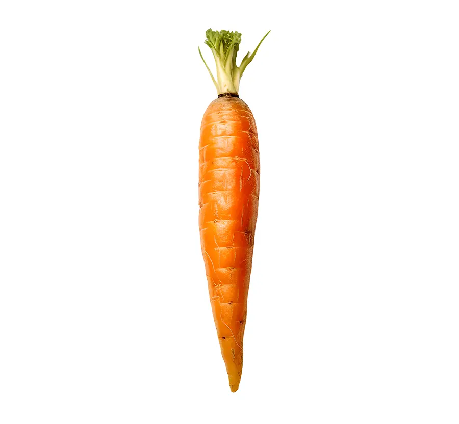 carota.webp