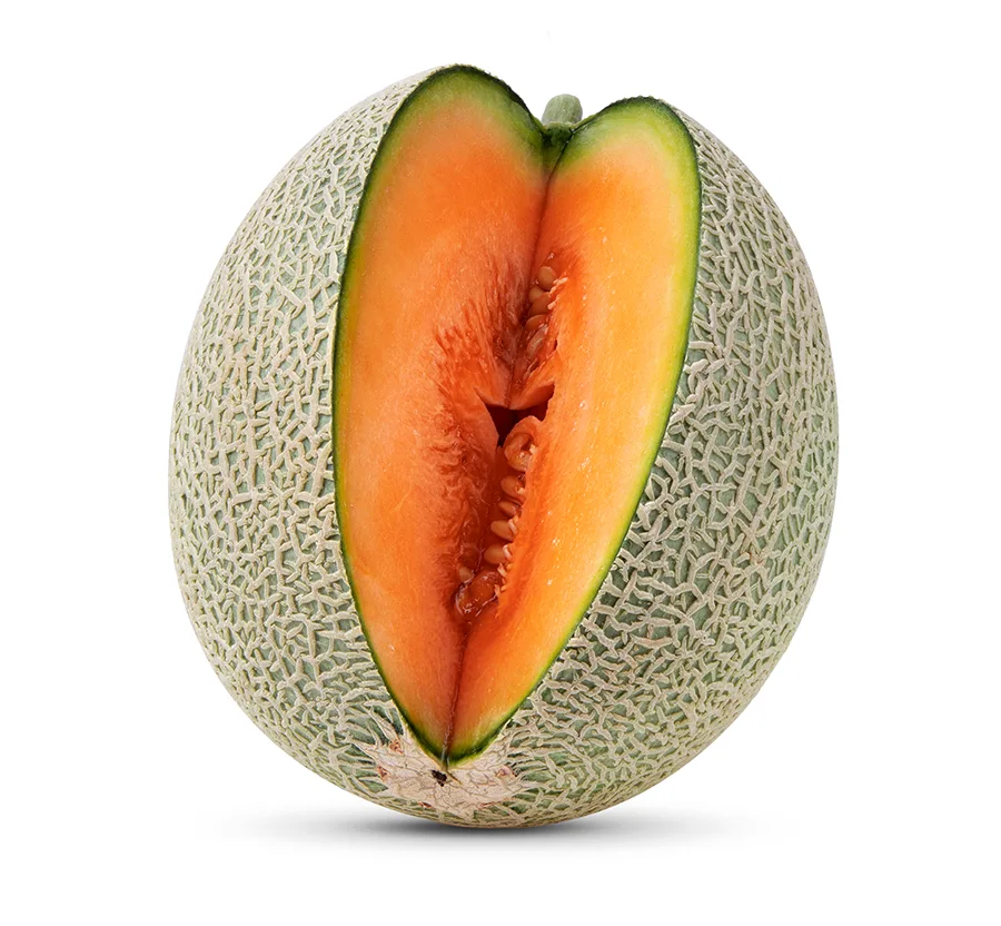 melone_retato