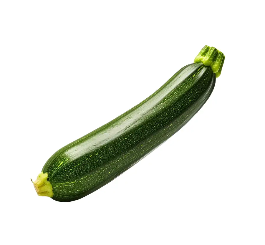 zucchina.webp